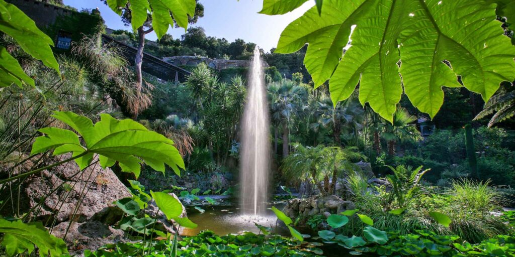 Giardini la mortella forio d'Ischia